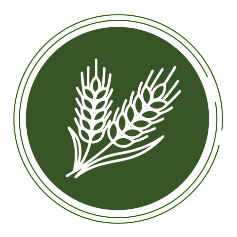 Protein & Fiber Needs