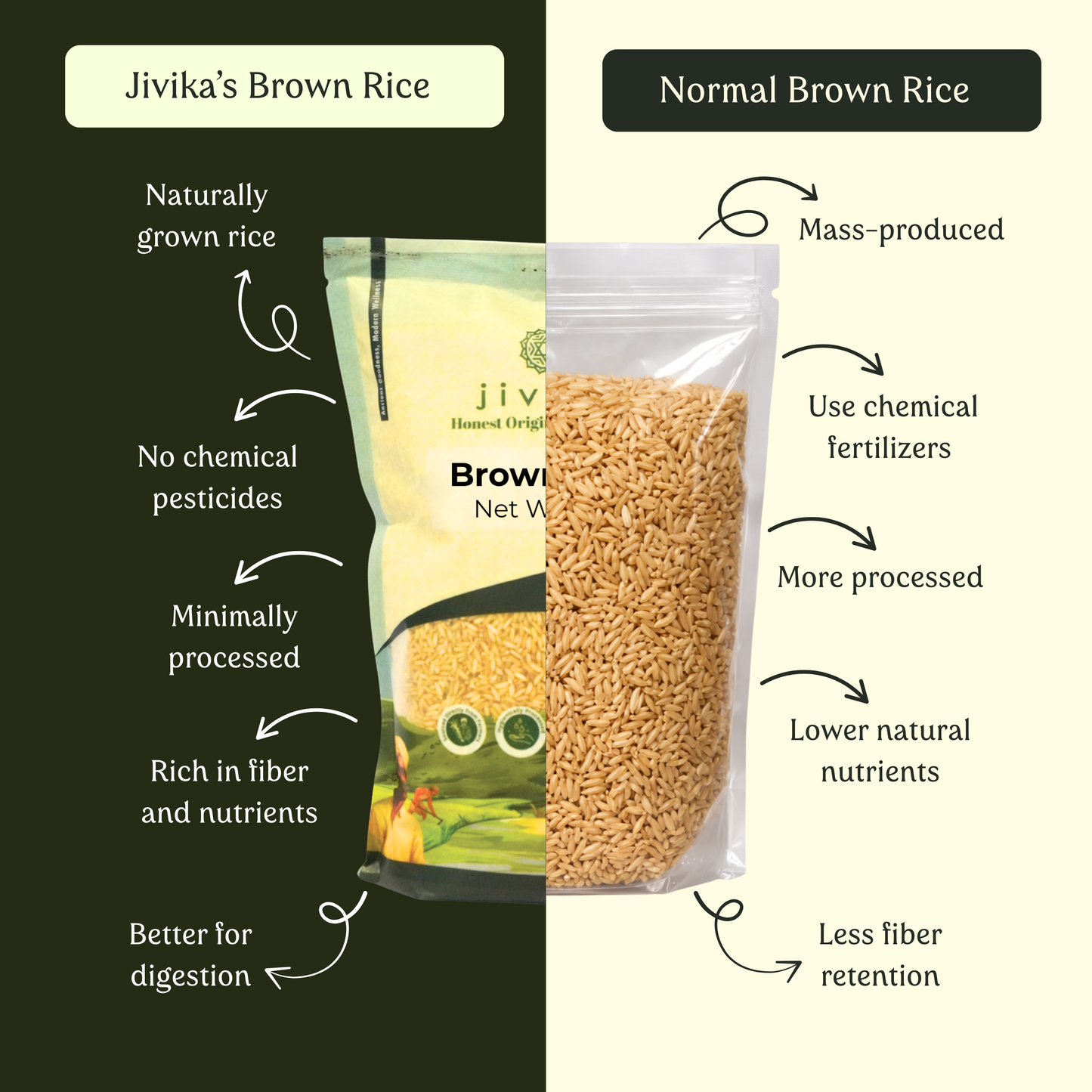 Jivika Pure Brown Rice (Unpolished) – High Fiber Whole Grain, Naturally Grown & Nutritious