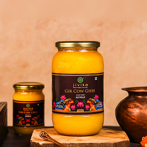 SINGLE BREED VEDIC A2 GHEE GIR COW