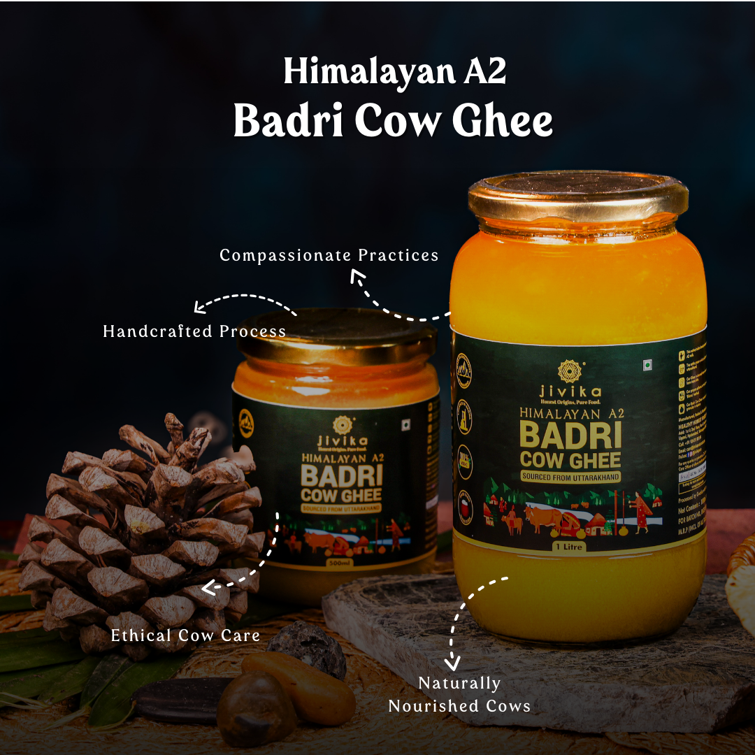 Single Breed Vedic A2 Ghee Badri Cow